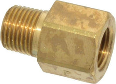Parker - 1/8 Male Thread x 1/8 Female Thread, Brass Industrial Pipe Adapter - MNPTF x FBSPP, 1,000 psi - Americas Industrial Supply