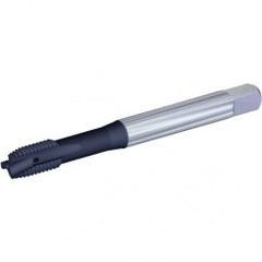 VTSPO9719 3/4-16 2B 3F PLUG CH - Americas Industrial Supply