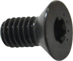 Camcar - 5/16-18 UNC Torx Plus Drive, 82° Flat Screw - Alloy Steel, Black Oxide Finish, Fully Threaded, 5/8" OAL - Americas Industrial Supply