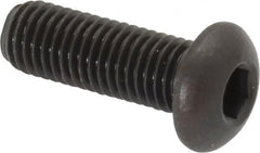 Made in USA - 1/4-28 UNF Hex Socket Drive, Button Screw - Alloy Steel, Black Oxide Finish, Fully Threaded, 3/4" Length Under Head - Americas Industrial Supply