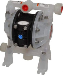 ARO/Ingersoll-Rand - 1/2" NPT, Nonmetallic, Air Operated Diaphragm Pump - Polyurethane Diaphragm, Polypropylene Housing - Americas Industrial Supply