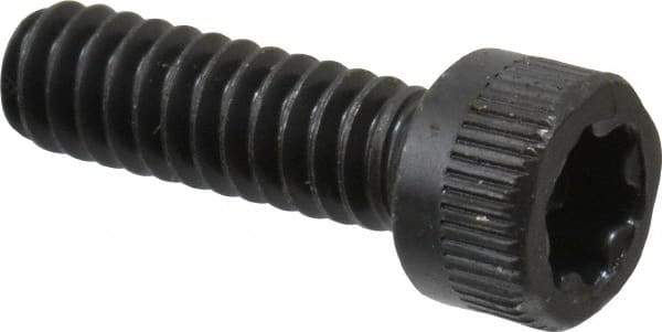 Camcar - #10-24 UNC Torx Plus Drive, Socket Cap Screw - Alloy Steel, Black Oxide Finish, Fully Threaded, 5/8" Length Under Head - Americas Industrial Supply