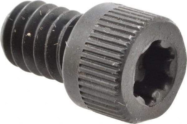 Camcar - 1/4-20 UNC Torx Plus Drive, Socket Cap Screw - Alloy Steel, Black Oxide Finish, Fully Threaded, 3/8" Length Under Head - Americas Industrial Supply