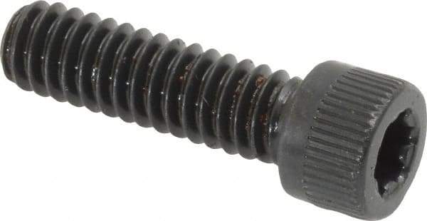 Camcar - 1/4-20 UNC Torx Plus Drive, Socket Cap Screw - Alloy Steel, Black Oxide Finish, Fully Threaded, 7/8" Length Under Head - Americas Industrial Supply