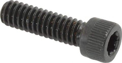 Camcar - 1/4-20 UNC Torx Plus Drive, Socket Cap Screw - Alloy Steel, Black Oxide Finish, Fully Threaded, 7/8" Length Under Head - Americas Industrial Supply