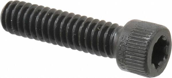 Camcar - 1/4-20 UNC Torx Plus Drive, Socket Cap Screw - Alloy Steel, Black Oxide Finish, Fully Threaded, 1" Length Under Head - Americas Industrial Supply