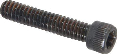 Camcar - 1/4-20 UNC Torx Plus Drive, Socket Cap Screw - Alloy Steel, Black Oxide Finish, Fully Threaded, 1-1/4" Length Under Head - Americas Industrial Supply
