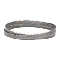 Lenox - 2 to 3 TPI, 12' 6" Long x 1-1/4" Wide x 0.042" Thick, Welded Band Saw Blade - Bi-Metal, Toothed Edge, Raker Tooth Set, Flexible Back, Contour Cutting - Americas Industrial Supply