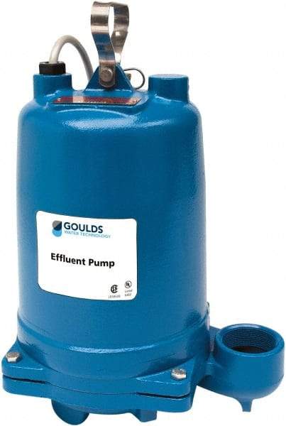 Goulds Pumps - 1 hp, 575 Amp Rating, 575 Volts, Single Speed Continuous Duty Operation, Effluent Pump - 3 Phase, Cast Iron Housing - Americas Industrial Supply