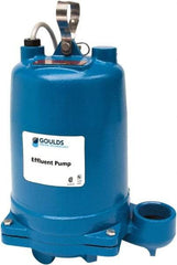 Goulds Pumps - 1 hp, 575 Amp Rating, 575 Volts, Single Speed Continuous Duty Operation, Effluent Pump - 3 Phase, Cast Iron Housing - Americas Industrial Supply