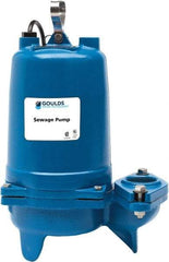 Goulds Pumps - 1 hp, 575 Amp Rating, 575 Volts, Single Speed Continuous Duty Operation, Sewage Pump - 3 Phase, Cast Iron Housing - Americas Industrial Supply