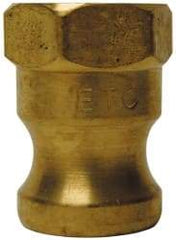 EVER-TITE Coupling Products - 4" Brass Cam & Groove Suction & Discharge Hose Male Adapter Female NPT Thread - Part A, 4" Thread, 100 Max psi - Americas Industrial Supply