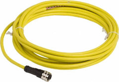 Telemecanique Sensors - 4 Amp, 1/2-20 UNF 3 Pin Female Straight Cordset Sensor and Receptacle - 250 VAC, 300 VDC, 5m Cable Length, IP67 Ingress Rating - Americas Industrial Supply