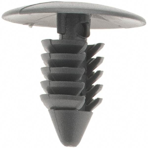 Value Collection - Ratchet Shank, Nylon Panel Rivet - 5/8" Length Under Head, 11/16" Head Diam - Americas Industrial Supply