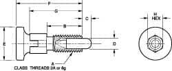 Vlier - 3/8-16, 1/4" Max Plunger Diam, 0.25 Lb Init to 2 Lb Final End Force, Knob Handle Plunger - Delrin Knob, 0.94" Body Length, 3/4" Length Under Head/Shoulder, 0.18" Plunger Projection - Americas Industrial Supply