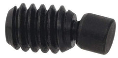 Gibraltar - 5/16-18, 2" OAL, Alloy Steel, Swivel Pad - Delrin Pad, Black Oxide Finish, 1/4" Pad Diam, 1-51/64" Thread Length, 7.5° Swivel Angle, 5/32" Hex Key - Americas Industrial Supply