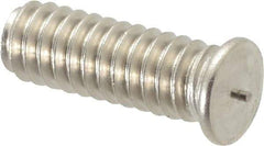 Bettermann - 1/4-20, Stainless Steel Threaded Flanged Studs - 3/4 Inch Overall Length - Exact Industrial Supply