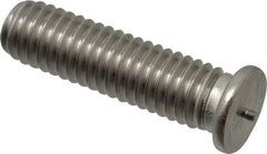 Bettermann - 10-32, Stainless Steel Threaded Flanged Studs - 3/4 Inch Overall Length - Exact Industrial Supply