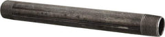 B&K Mueller - Schedule 40, 3/4" Diam x 9" Long Steel Black Pipe Nipple - Threaded - Americas Industrial Supply