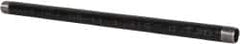 B&K Mueller - Schedule 40, 1" Diam x 24" Long Steel Black Pipe Nipple - Threaded - Americas Industrial Supply