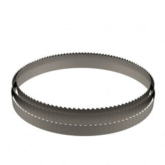 Lenox - 6 to 10 TPI, 10' 9-1/2" Long x 1" Wide x 0.035" Thick, Welded Band Saw Blade - Americas Industrial Supply