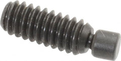 Gibraltar - 1/4-20, 3/4" OAL, Alloy Steel, Swivel Pad - Black Oxide Finish, 0.185" Pad Diam, 19/32" Thread Length, 7.5° Swivel Angle, 1/8" Hex Key - Americas Industrial Supply