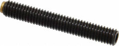 J.W. Winco - M6x1.00 Metric Coarse, 40mm Length of Thread, Soft Tip Point Set Screw - Grade 5.8 Steel, 3mm Key - Americas Industrial Supply