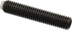 J.W. Winco - M10x1.50 Metric Coarse, 50mm Length of Thread, Soft Tip Point Set Screw - Grade 5.8 Steel, 5mm Key - Americas Industrial Supply