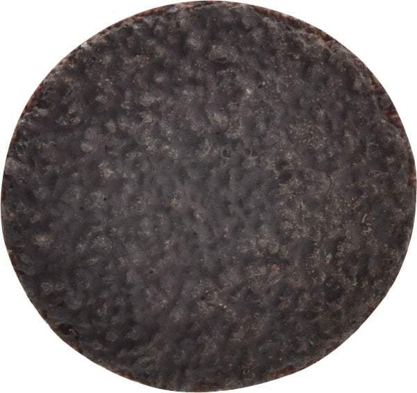 Tru-Maxx - 1" Disc Diam, 36 Grit, Aluminum Oxide Quick Change Disc - Type R Attaching System, Coated, Brown, Very Coarse Grade, 30,000 RPM - Americas Industrial Supply