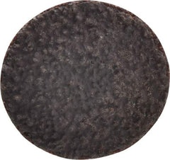 Tru-Maxx - 1" Disc Diam, 36 Grit, Aluminum Oxide Quick Change Disc - Type R Attaching System, Coated, Brown, Very Coarse Grade, 30,000 RPM - Americas Industrial Supply