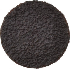Tru-Maxx - 1" Disc Diam, 40 Grit, Aluminum Oxide Quick Change Disc - Type R Attaching System, Coated, Brown, Coarse Grade, 30,000 RPM - Americas Industrial Supply