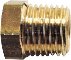 Legris - 1/2 Male Thread x 3/8 Female Thread, Brass Industrial Pipe Hex Bushing - MBSPT x FBSPP, 3,626 psi - Americas Industrial Supply