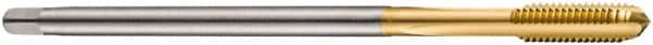 DORMER - M12x1.75 Metric Coarse 6H 3 Flute TiN Finish Cobalt Straight Flute Machine Tap - Bottoming, Right Hand Thread, 119mm OAL, 23mm Thread Length, Oversize - Americas Industrial Supply