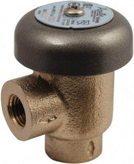 Conbraco - 1/2" Pipe, 125 Max psi, Bronze, Coated Lead Free Bronze, Atmospheric Type Vacuum Breaker Valve - Silicon Carbide Seal, Female NPT End Connections, Use with Potable Water Applications - Americas Industrial Supply