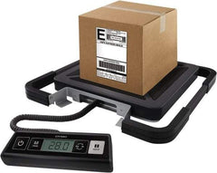 Dymo - 15" Base, 250 Lb Capacity, Digital Scale - 0.2 Lb & 0.1 Kg Graduation, USB, 120 Volt Adapter or (3) AAA Batteries - Americas Industrial Supply