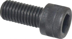 Holo-Krome - M12x1.75 Metric Coarse Hex Socket Drive, Socket Cap Screw - Grade 12.9 Alloy Steel, Black Oxide Finish, Fully Threaded, 25mm Length Under Head - Americas Industrial Supply