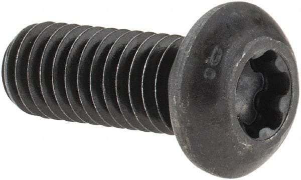 Camcar - 3/8-16 UNC Torx Plus Drive, Button Screw - Alloy Steel, Black Oxide Finish, Fully Threaded, 1" Length Under Head - Americas Industrial Supply