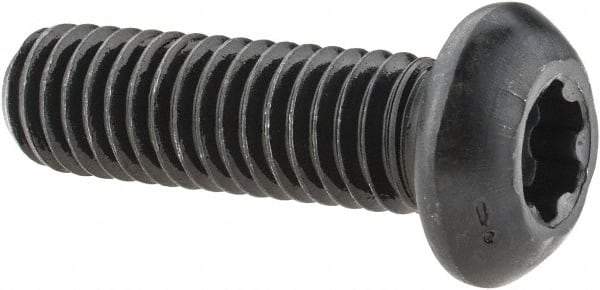 Camcar - 3/8-16 UNC Torx Plus Drive, Button Screw - Alloy Steel, Black Oxide Finish, Fully Threaded, 1-1/4" Length Under Head - Americas Industrial Supply