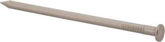 Made in USA - 16D, 8 Gauge, 3-1/2" OAL Common Nails - Smooth Shank, T304 Stainless Steel - Americas Industrial Supply