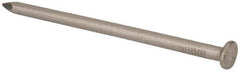 Made in USA - 20D, 6 Gauge, 4" OAL Common Nails - Smooth Shank, T304 Stainless Steel - Americas Industrial Supply