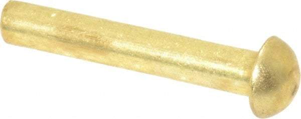 Made in USA - 1/8" Body Diam, Round Brass Solid Rivet - 3/4" Length Under Head - Americas Industrial Supply