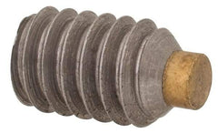 Made in USA - 1/4-20 UNC, 3/8" Length of Thread, Soft Tip Point Set Screw - Grade 18-8 Stainless Steel - Americas Industrial Supply