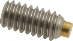 Made in USA - 1/4-20 UNC, 1/2" Length of Thread, Soft Tip Point Set Screw - Grade 18-8 Stainless Steel - Americas Industrial Supply