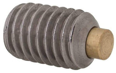 Made in USA - 1/2-13 UNC, 3/4" Length of Thread, Soft Tip Point Set Screw - Grade 18-8 Stainless Steel - Americas Industrial Supply
