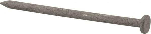 Value Collection - 8D, 10 Gauge, 2-1/2" OAL Common Nails - Ring Shank, Grade 2 Steel, Galvanized Finish - Americas Industrial Supply