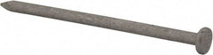 Value Collection - 10D, 9 Gauge, 3" OAL Common Nails - Ring Shank, Grade 2 Steel, Galvanized Finish - Americas Industrial Supply