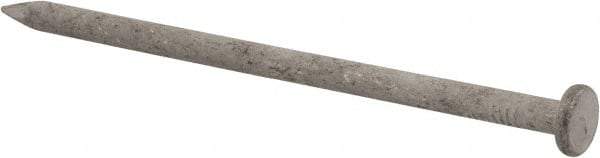 Value Collection - 16D, 8 Gauge, 3-1/2" OAL Common Nails - Ring Shank, Grade 2 Steel, Galvanized Finish - Americas Industrial Supply