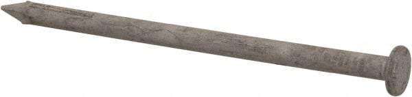 Value Collection - 8D, 10 Gauge, 2-1/2" OAL Common Nails - Ring Shank, Grade 2 Steel, Galvanized Finish - Americas Industrial Supply