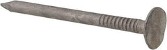 Value Collection - 11 Gauge, 1-3/4" OAL Roofing Nails - Ring Shank, Grade 2 Steel, Galvanized Finish - Americas Industrial Supply