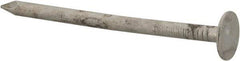 Value Collection - 11 Gauge, 2" OAL Roofing Nails - Ring Shank, Grade 2 Steel, Galvanized Finish - Americas Industrial Supply